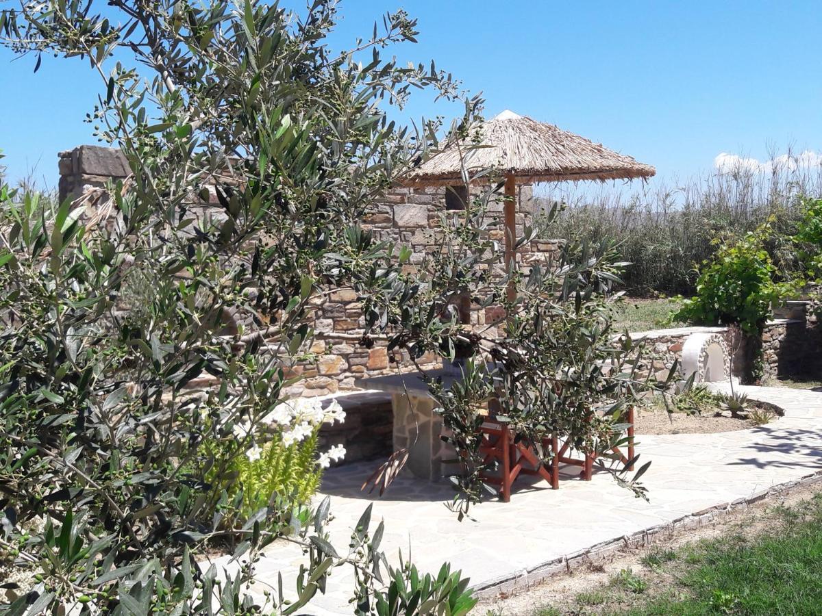 Elpidas Studios Agia Anna  Luaran gambar