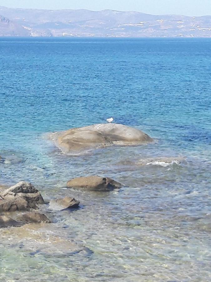 Elpidas Studios Agia Anna  Luaran gambar