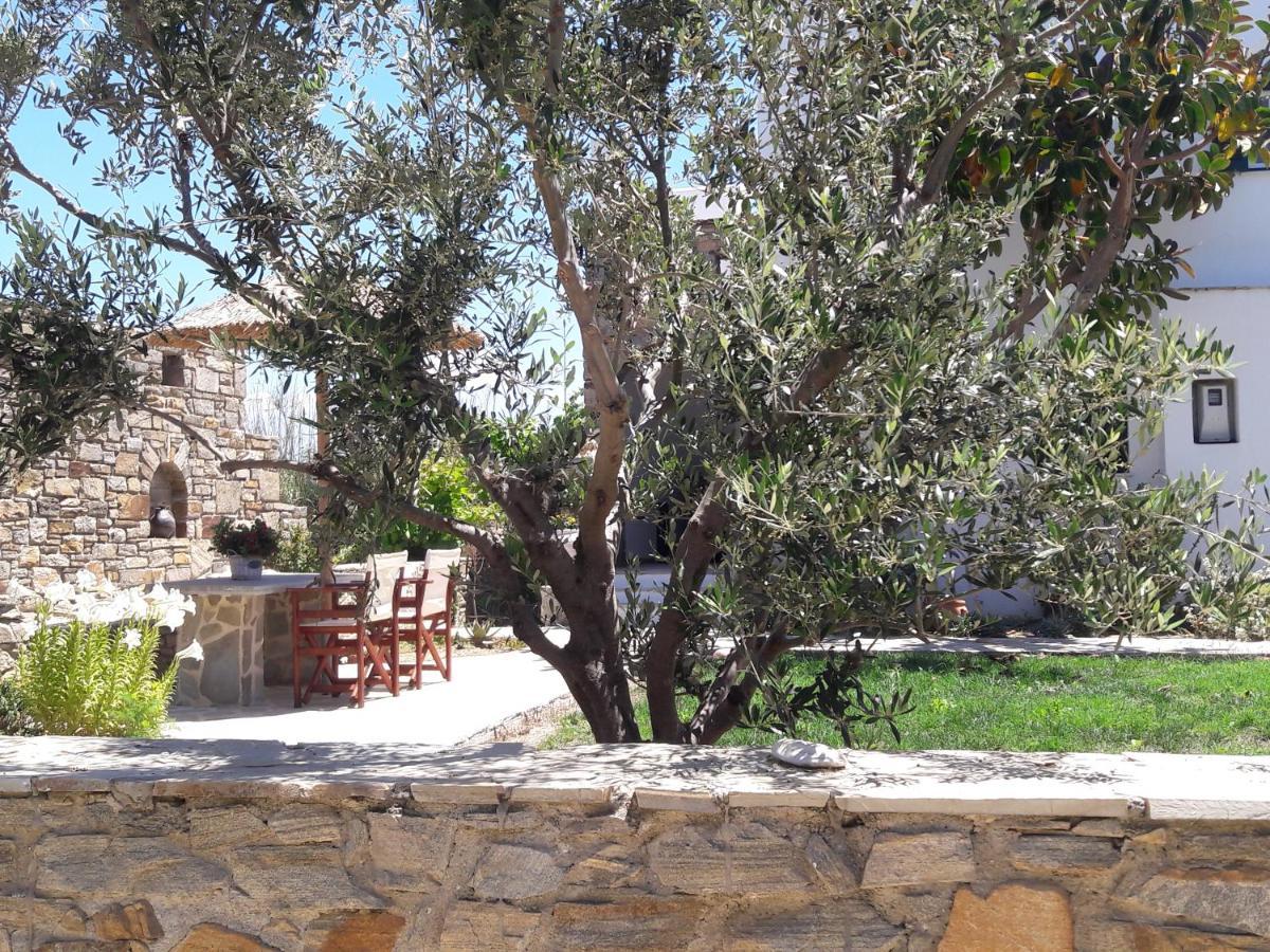 Elpidas Studios Agia Anna  Luaran gambar