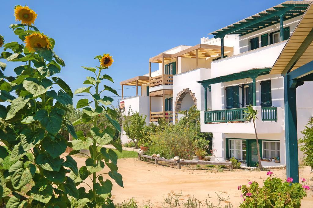 Elpidas Studios Agia Anna  Luaran gambar